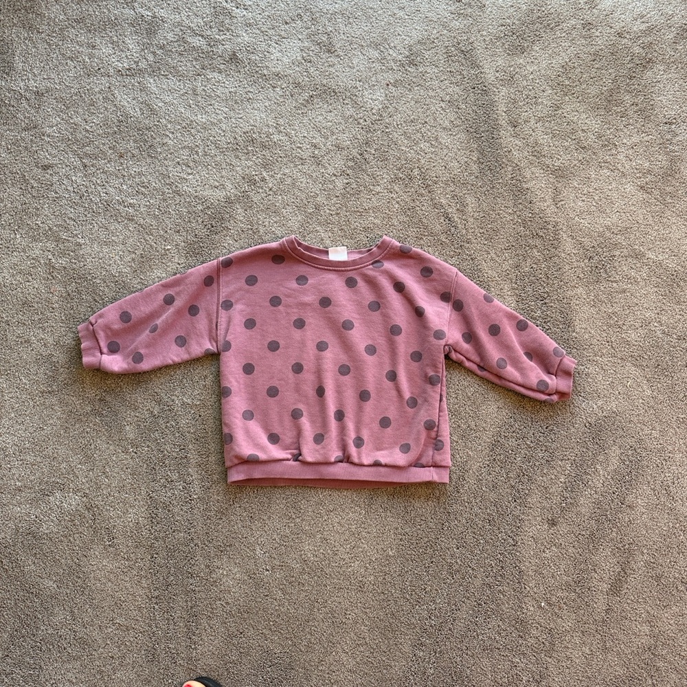 Zara Polka Dot Sweatshirt